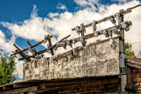Cattle Skulls at the Old Longhorn Saloon