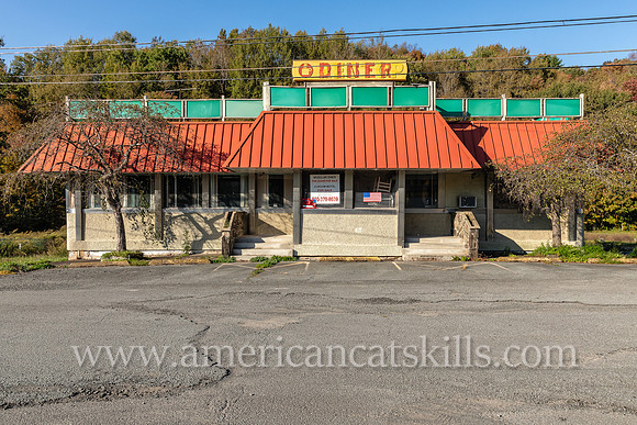 Parksville Diner