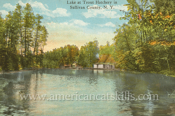 Vintage postcard published by Otto Hillig depicting a quiet trout hatchery in Sullivan County, New York.