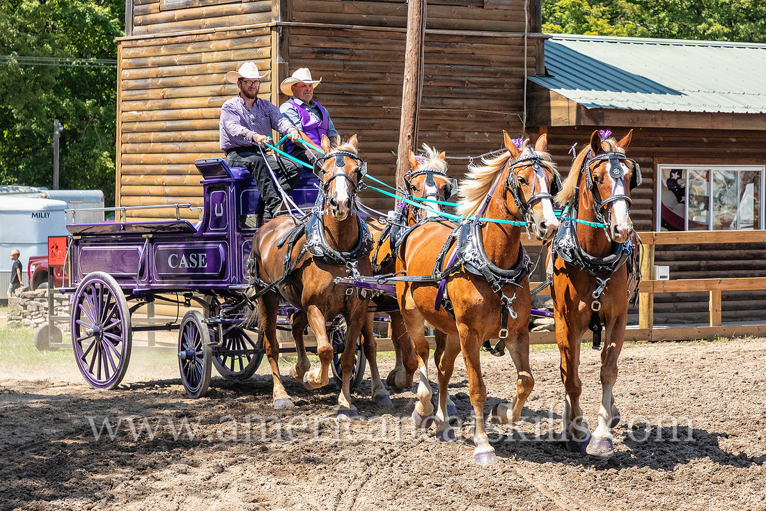 Photograph of the annual Delaware County Fair that that is held in Walton, New York.