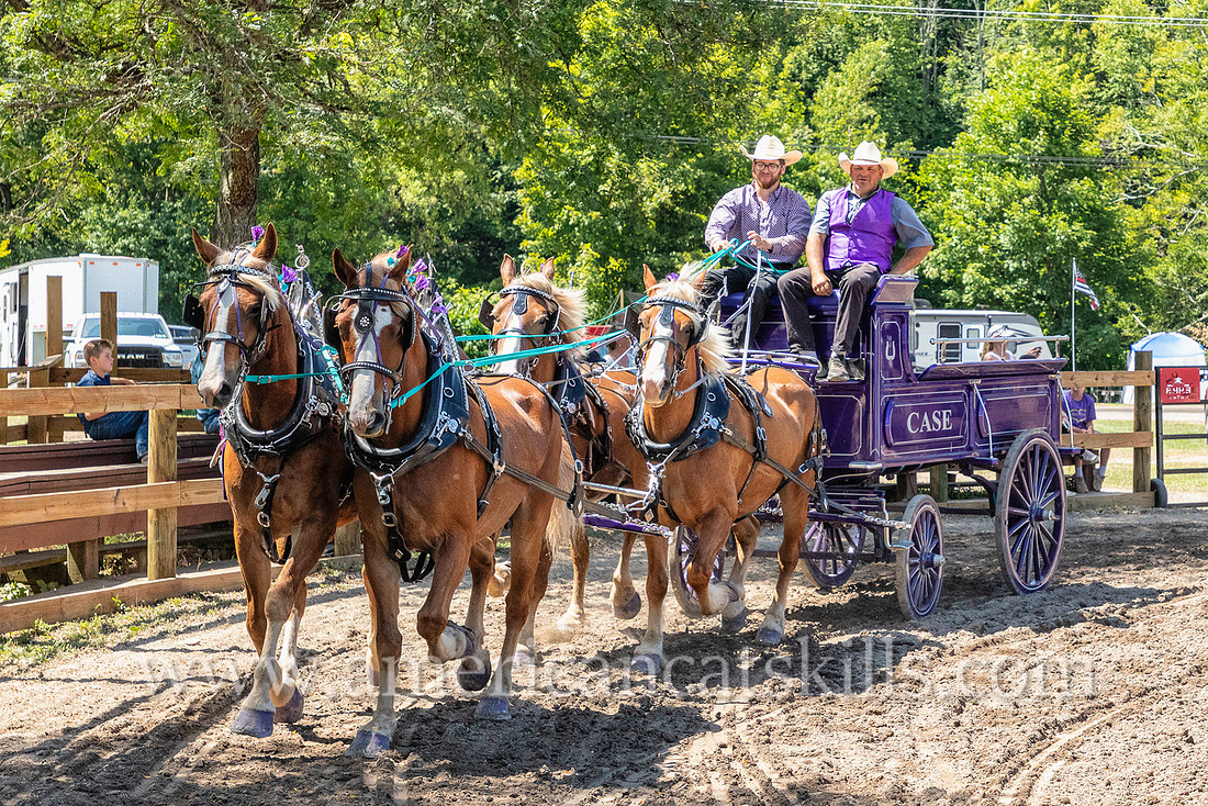 Photograph of the annual Delaware County Fair that that is held in Walton, New York.