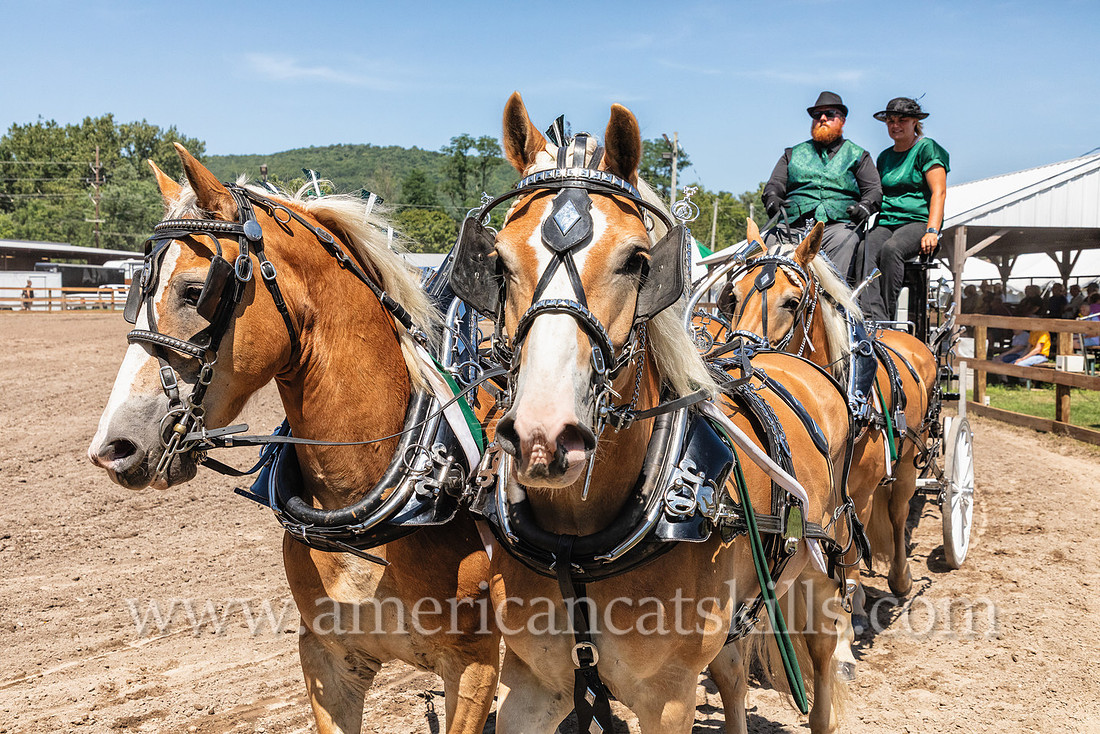 Photograph of the annual Delaware County Fair that that is held in Walton, New York.