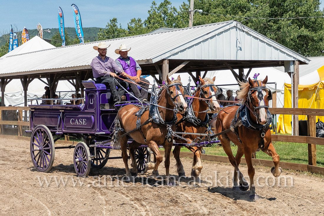 Photograph of the annual Delaware County Fair that that is held in Walton, New York.