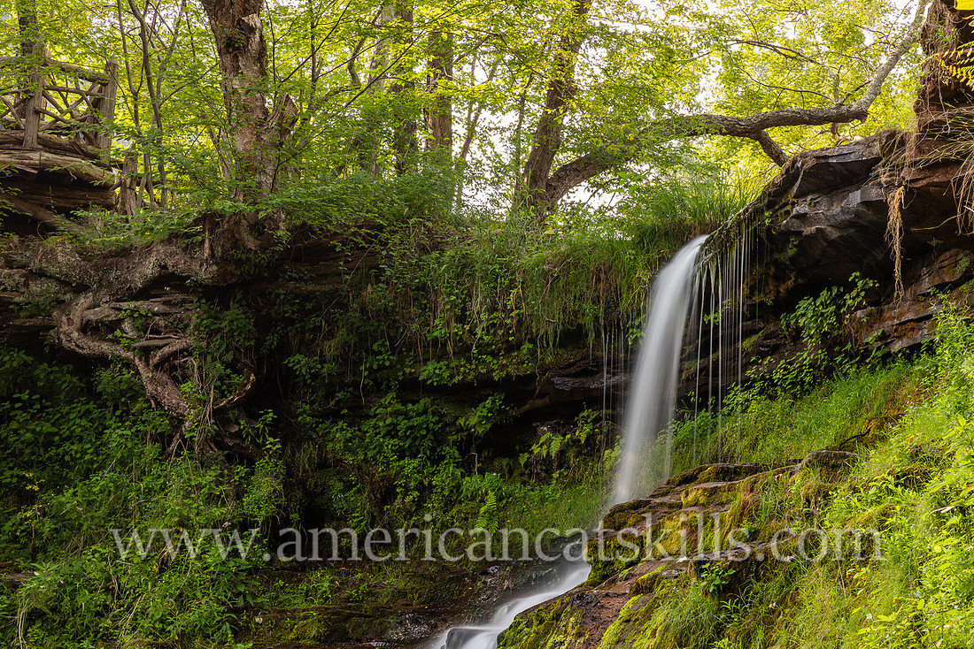 Photograph of Stratton Falls at Roxbury in Delaware County, New York.