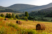 Photograph of a farm field with hay bales on the Roses Brook Road in Delaware County, New York.