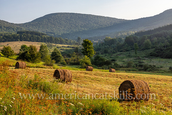 Photograph of a farm field with hay bales on the Roses Brook Road in Delaware County, New York.