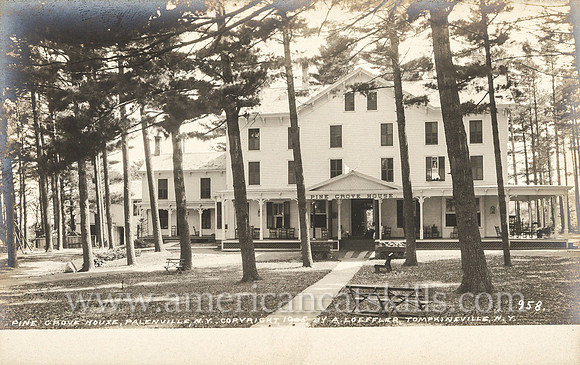 958_Pine Grove House, Palenville, N.Y.