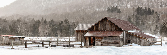Winter on the Farm, Woodstock