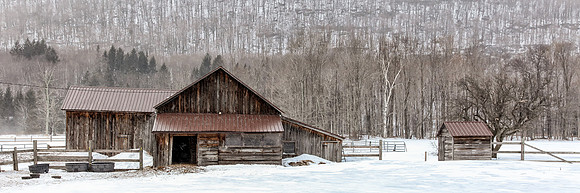 Cold Winter's Day on the Farm