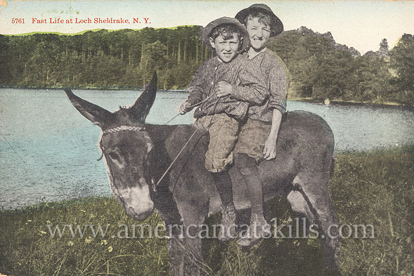 Two young boys take a ride on a donkey in this vintage postcard published by D. J. Gardner of Loch Sheldrake, New York.