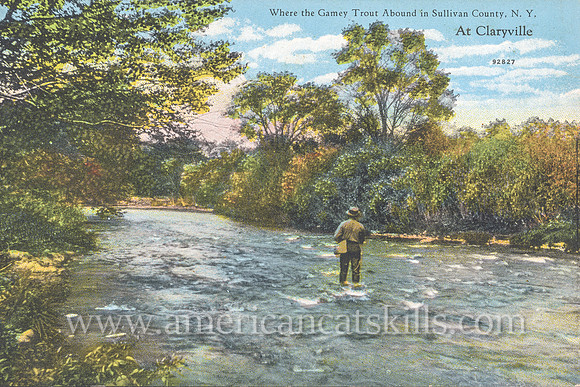 Vintage postcard published by Otto Hillig depicting a fisherman pursuing his craft at Claryville, New York.