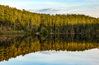 Photograph of the Mongaup Falls Reservoir in the southern Catskills.