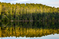 Photograph of the Mongaup Falls Reservoir in the southern Catskills.