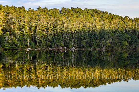 Photograph of the Mongaup Falls Reservoir in the southern Catskills.