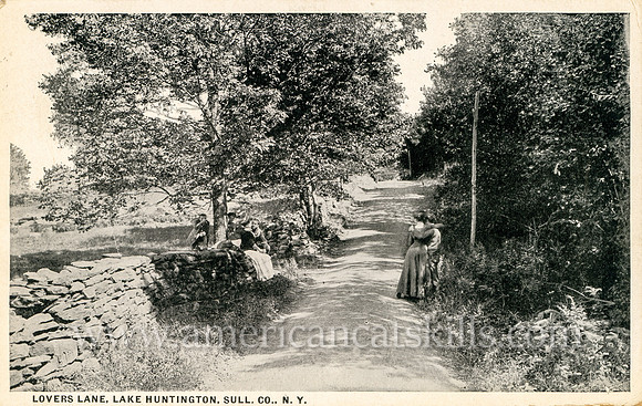 Lovers Lane, Lake Huntington, Sull. Co., N. Y.