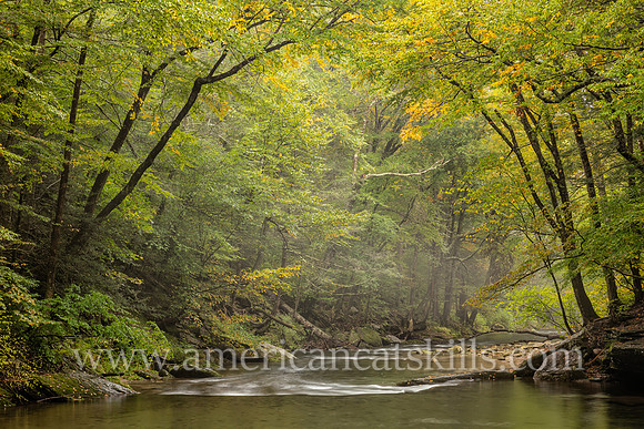 Photograph of the Rondout Creek in early autumn.