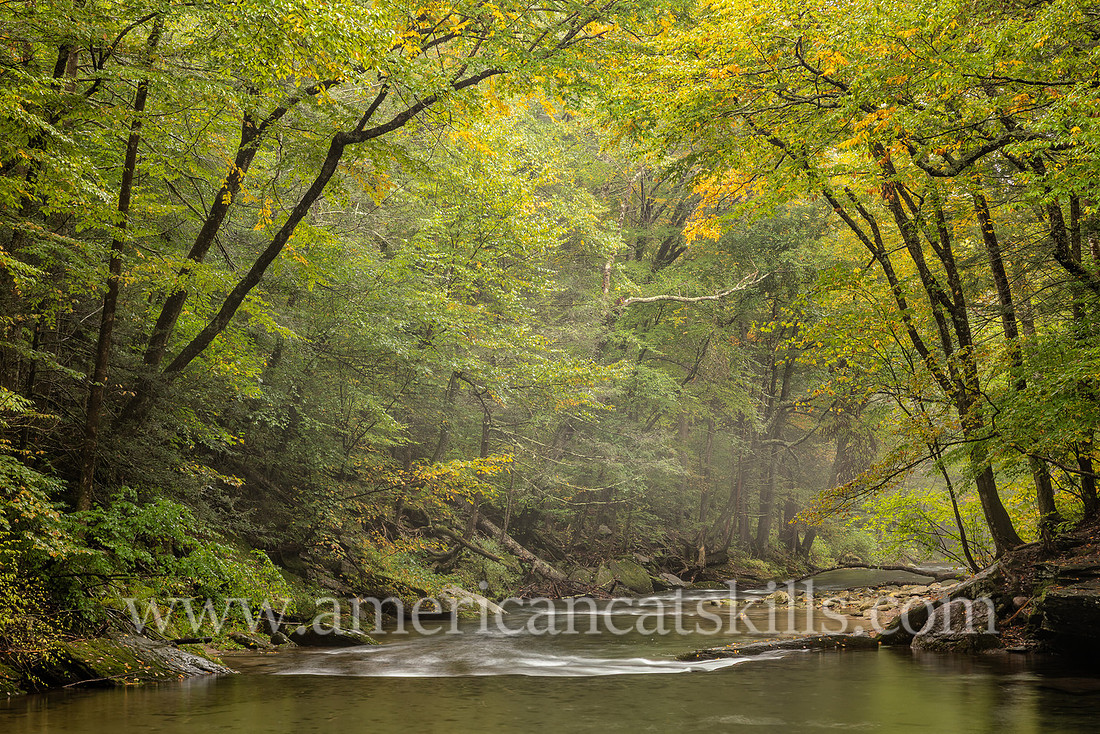 Photograph of the Rondout Creek in early autumn.