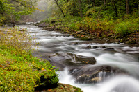 Photograph of the Rondout Creek in early autumn.