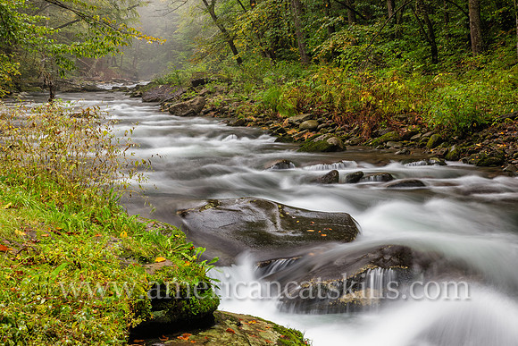Photograph of the Rondout Creek in early autumn.