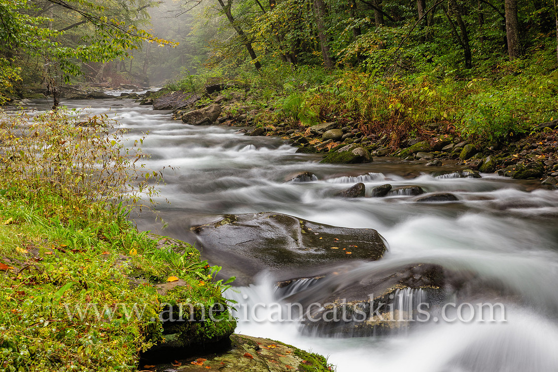 Photograph of the Rondout Creek in early autumn.
