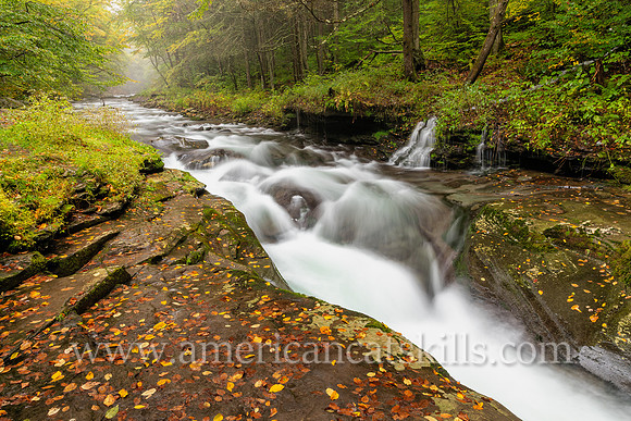 Photograph of the Rondout Creek in early autumn.