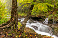 Photograph of the Rondout Creek in early autumn.