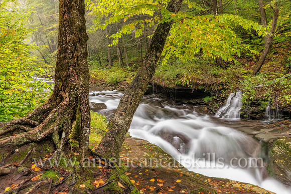 Photograph of the Rondout Creek in early autumn.