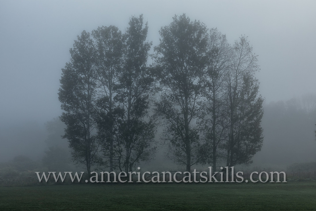Photograph on the Windham Path in Windham, New York in the northern Catskills.