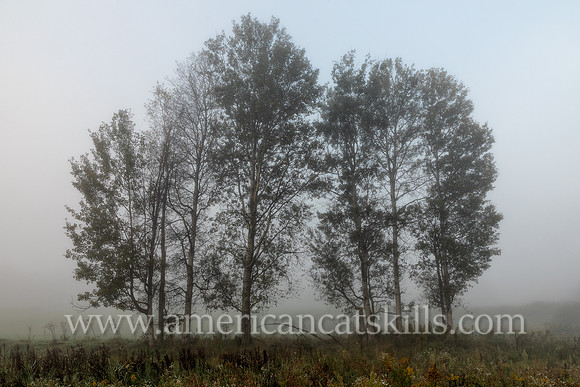 Photograph on the Windham Path in Windham, New York in the northern Catskills.