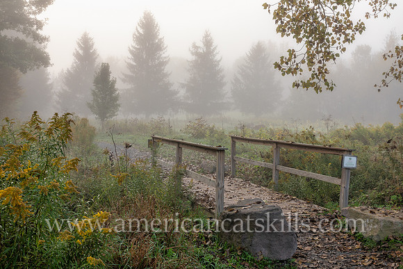 Photograph on the Windham Path in Windham, New York in the northern Catskills.