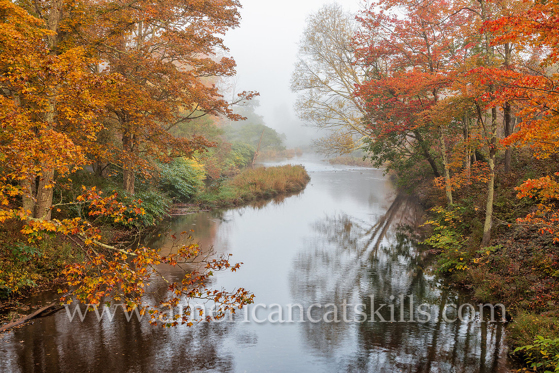 Photograph on the Windham Path in Windham, New York in the northern Catskills.