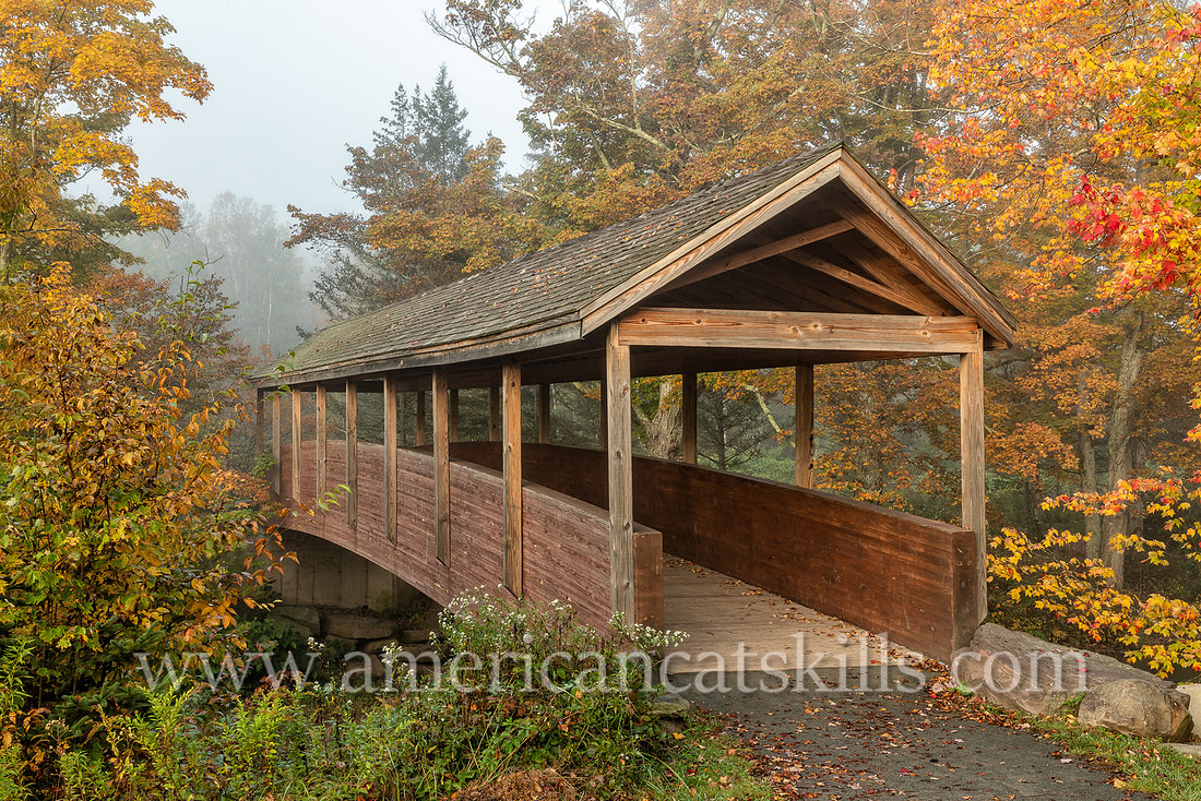 Photograph on the Windham Path in Windham, New York in the northern Catskills.