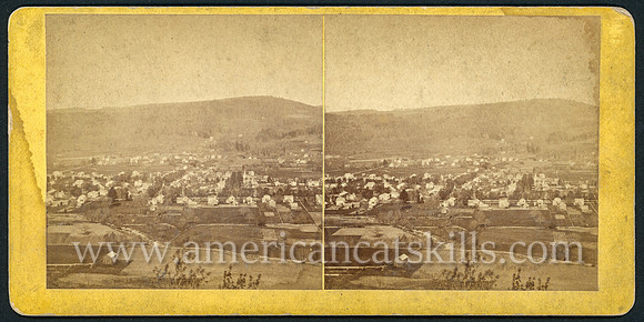 Walton Village, Del. Co., N.Y.