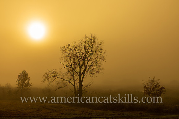 Photograph of the sunrise on the Windham Path in Windham, New York in the northern Catskills.
