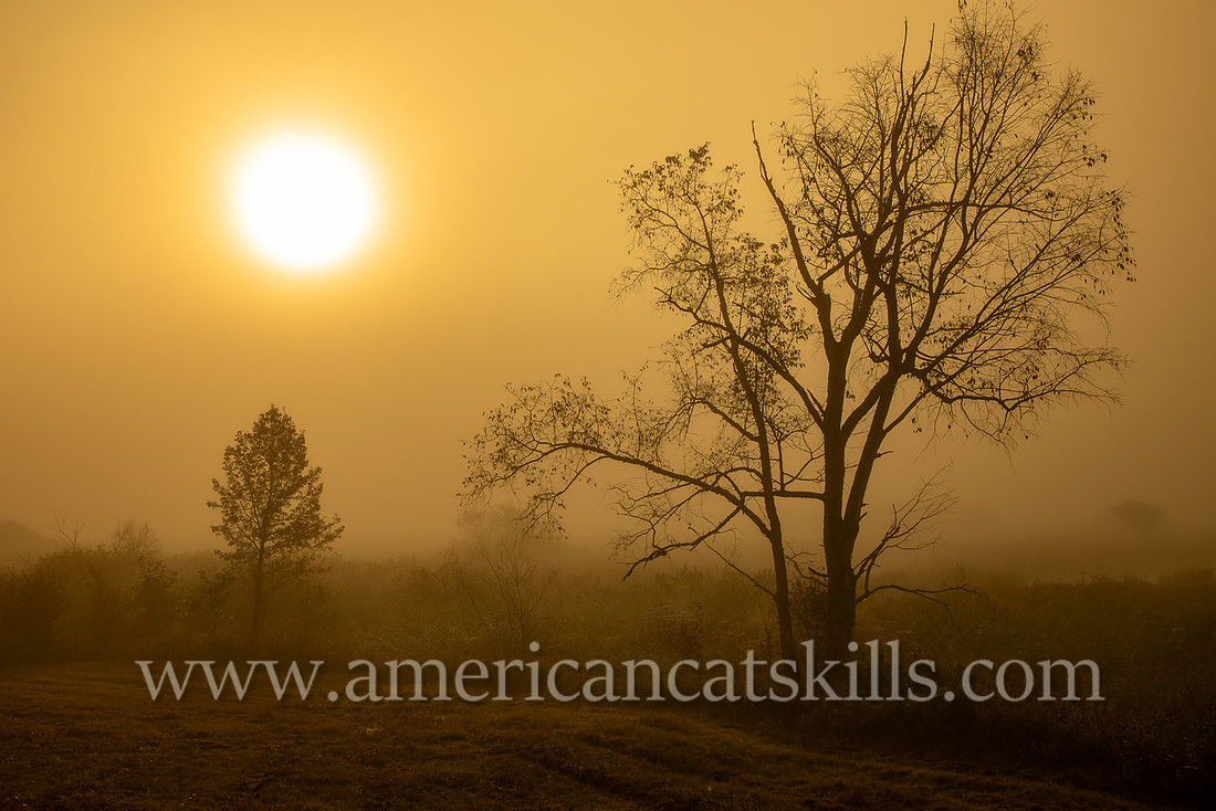 Photograph of the sunrise on the Windham Path in Windham, New York in the northern Catskills.