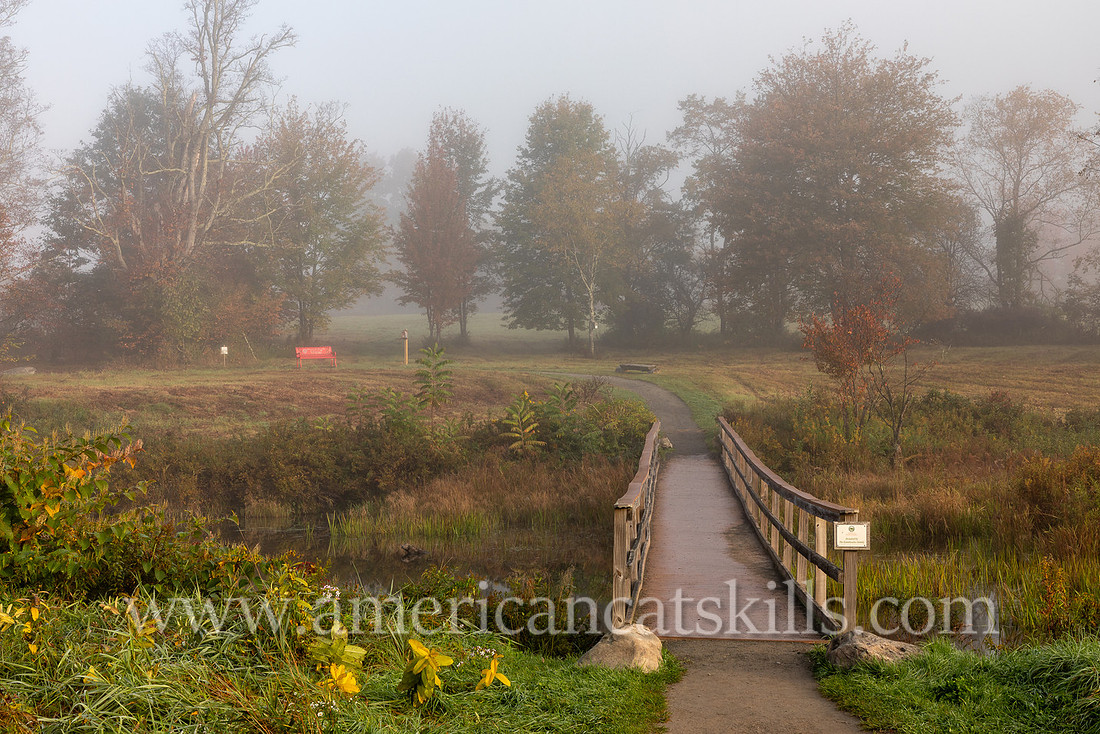 Photograph on the Windham Path in Windham, New York in the northern Catskills.