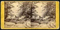 Photograph number 29 titled "In Haines Gorge, looking down, Catskill Mt." by photographer John P. Soule of Boston, MA.