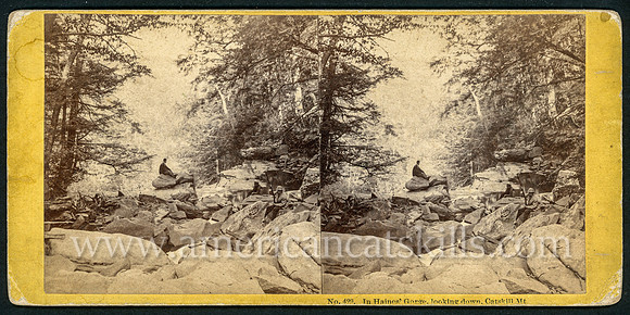 Photograph number 29 titled "In Haines Gorge, looking down, Catskill Mt." by photographer John P. Soule of Boston, MA.