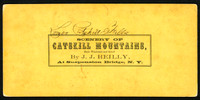 Scenery of Catskill Mountains, By J. J. Reilly, at Suspension Bridge, New York