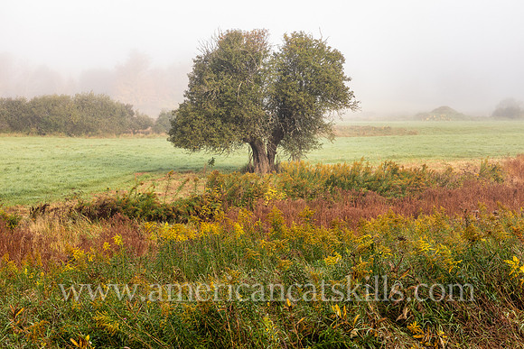 Photograph on the Windham Path in Windham, New York in the northern Catskills.