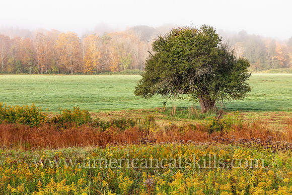Photograph on the Windham Path in Windham, New York in the northern Catskills.