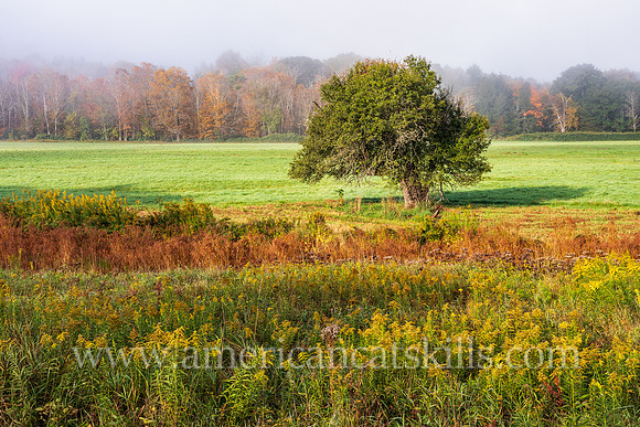 Photograph on the Windham Path in Windham, New York in the northern Catskills.