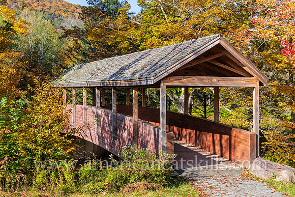 Photograph on the Windham Path in Windham, New York in the northern Catskills.