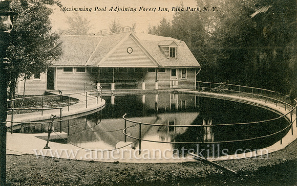 Swimming Pool Adjoining Forest Inn, Elka Park, N. Y.