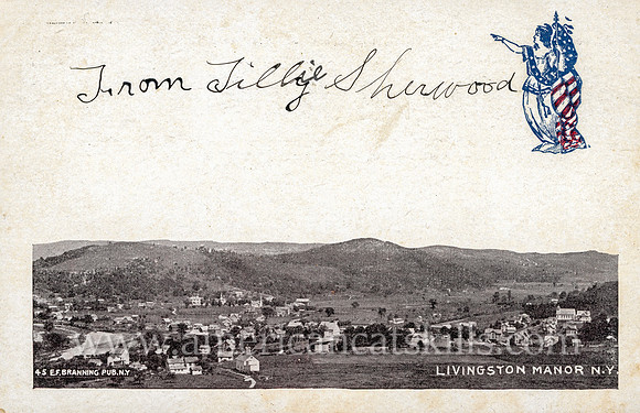 Vintage postcard by Edwin Forrest Branning titled "Livingston Manor, N.Y."