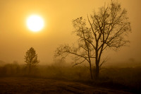 Morning on the Windham Path