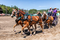 Four Horses