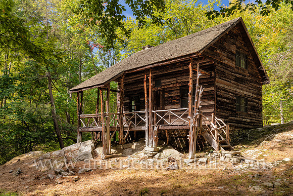 A Place in the Woods