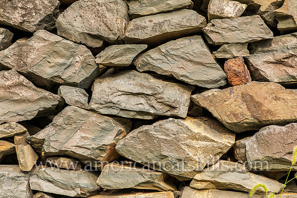 Photograph of a rock wall at the John Burroughs Nature Sanctuary in West Park, New York.