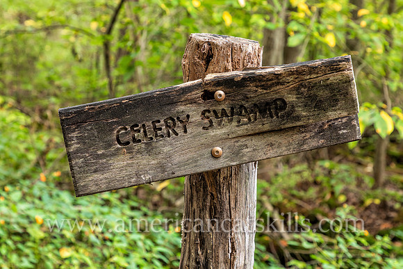 Photograph of a trail sign pointing to the Celery Swamp at the John Burroughs Nature Sanctuary in West Park, New York.